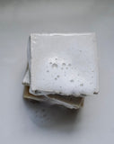 Sudsy Botanical Soap Bar