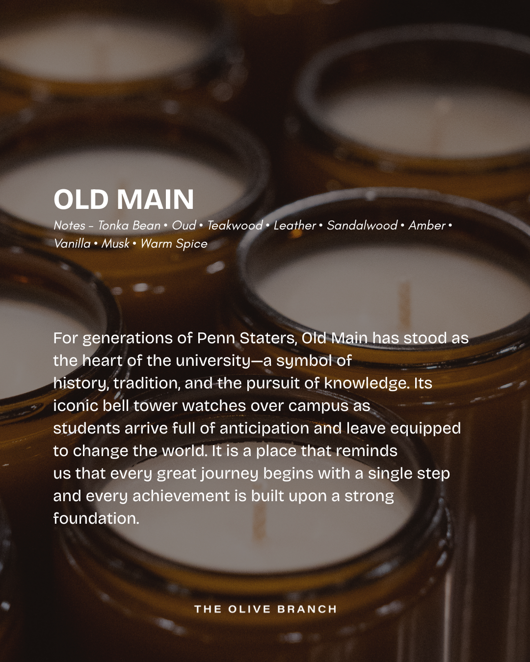 Noah’s Collegiate Candle & Wax Melt Collection