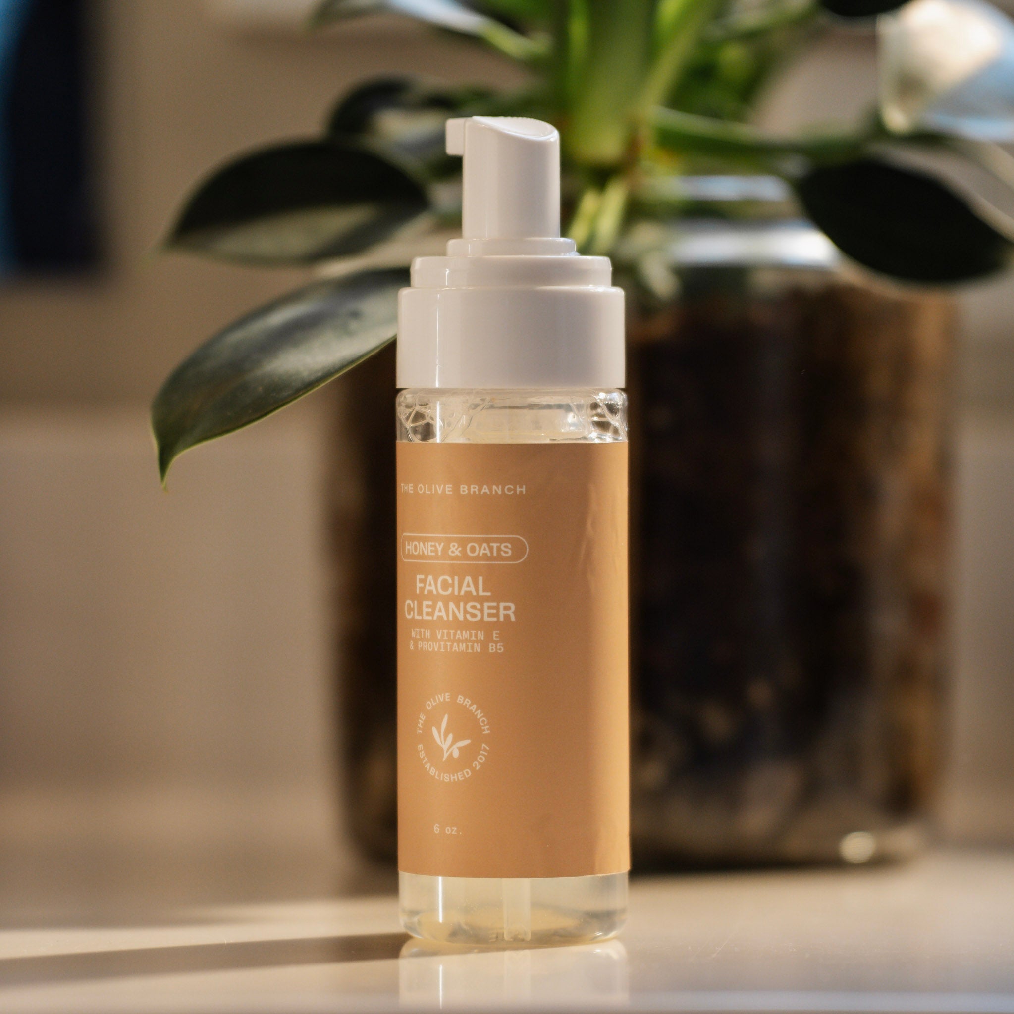 Organic Honey & Oats Foaming Facial Cleanser
