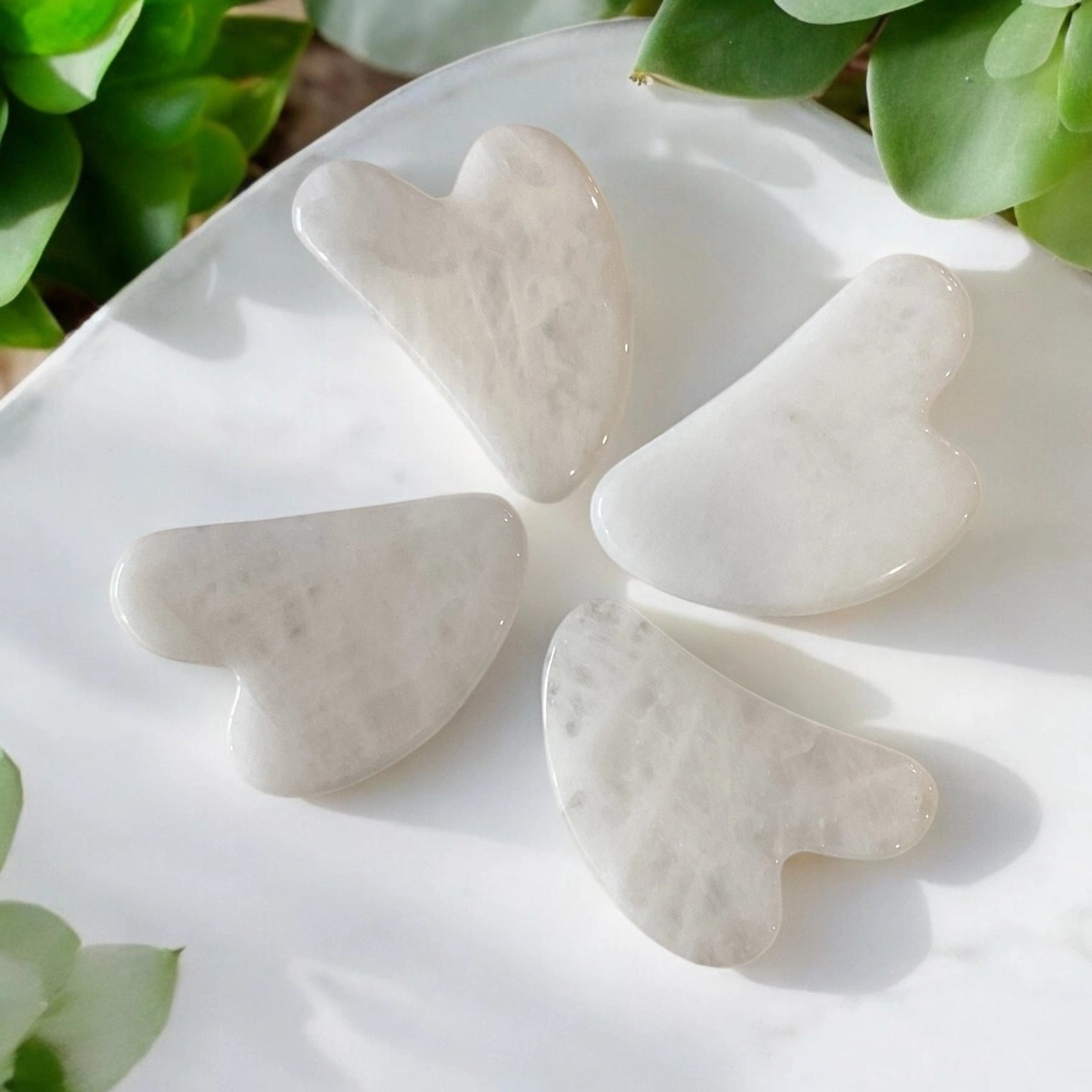 White jade gua sha stones arranged in a circle.